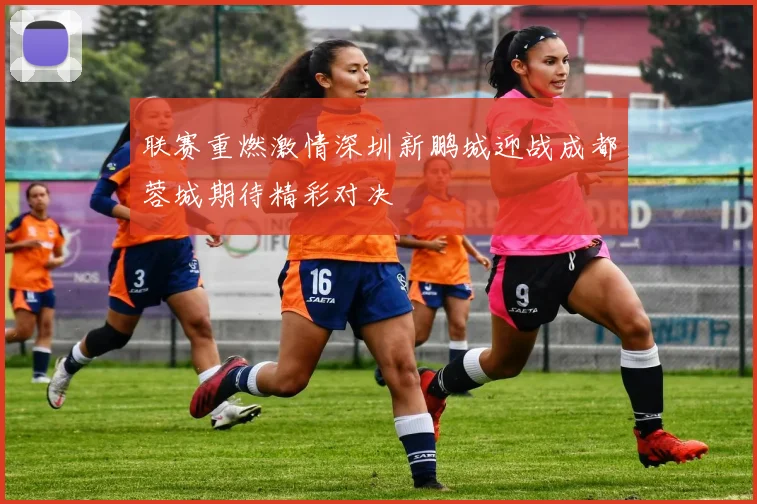 联赛重燃激情深圳新鹏城迎战成都蓉城期待精彩对决