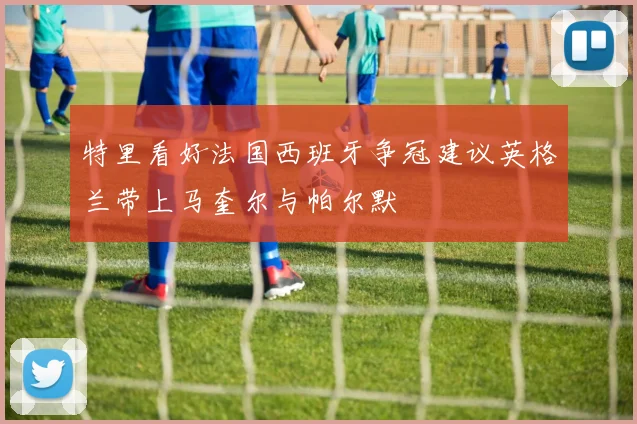 特里看好法国西班牙争冠建议英格兰带上马奎尔与帕尔默