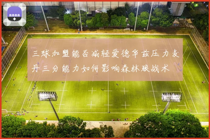 三球加盟能否减轻爱德华兹压力麦丹三分能力如何影响森林狼战术